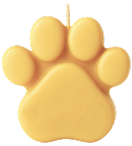 paw-image